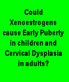 Xenoestrogens cause Early Puberty in Children and Cervical Dysplasias in Adults.